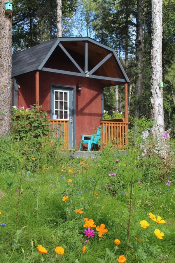 Dfa Cabin Rentals Talkeetna Eksteriør bilde